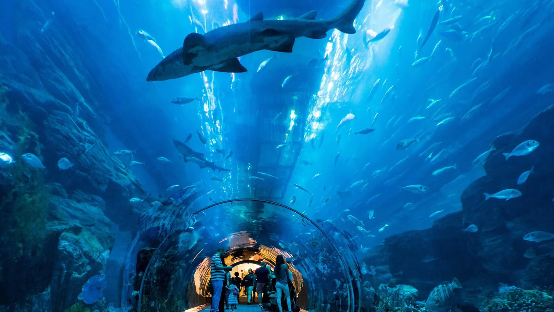 Istanbul Aquarium